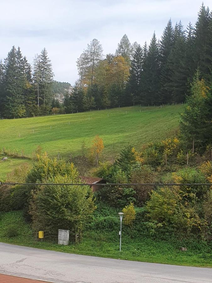Blunzenwirt * Breitenstein